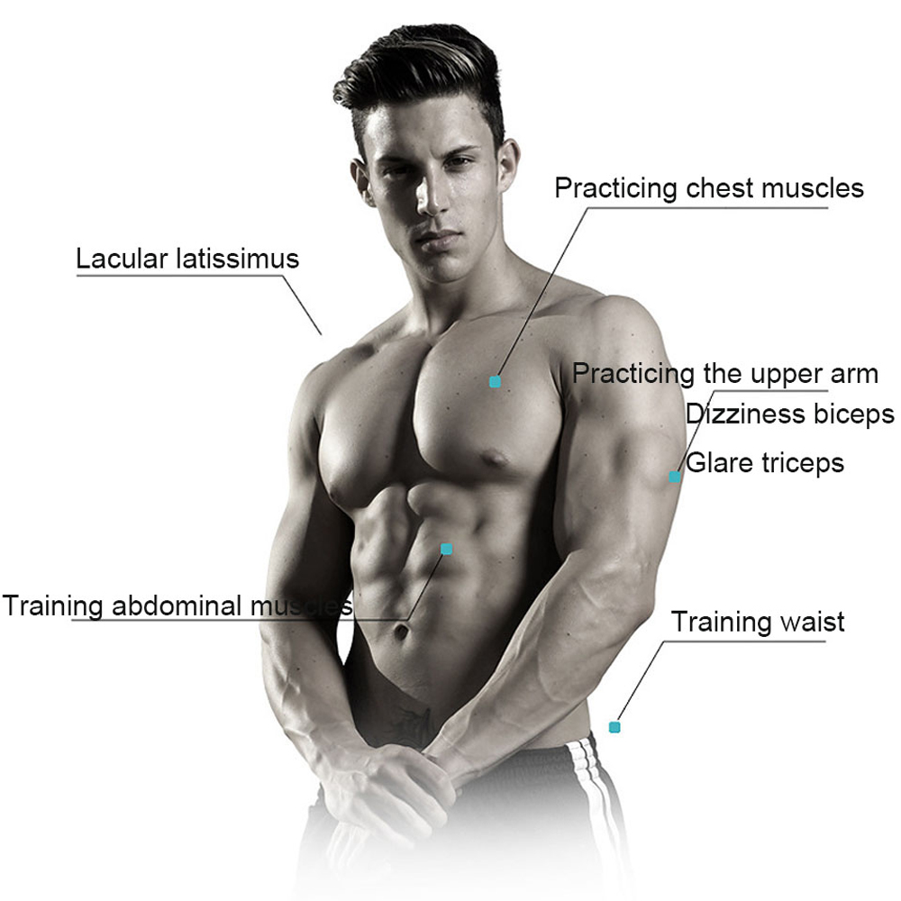 Fitness Abdominal Muscle Trainer