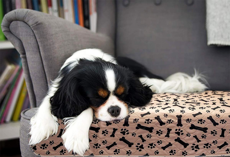 Multipurpose Waterproof Dog Mat