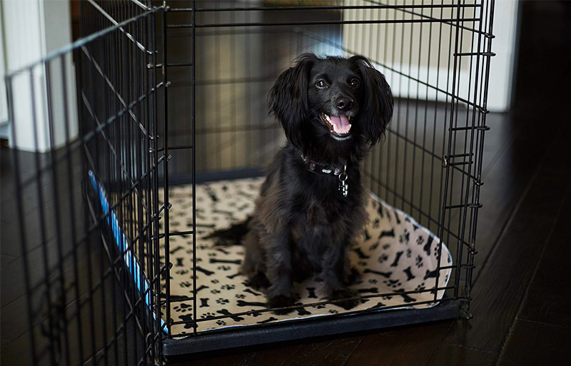 Multipurpose Waterproof Dog Mat